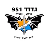 סמל גדוד 951