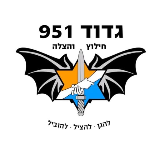 סמל הגדוד: כנפיים, כוכב כתום וכחול ויד האוחזת בחרב. להגן, להציל, להוביל.